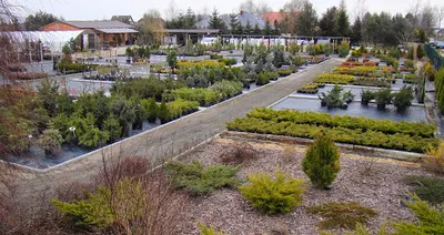 Quercus Mikołajczyk - Projektowanie, Urządzanie ogrodów, Centrum Ogrodnicze Karlin